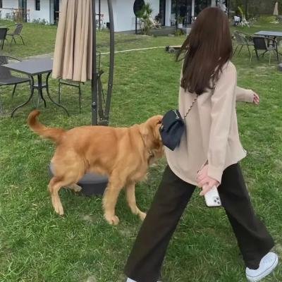 辉煌时代